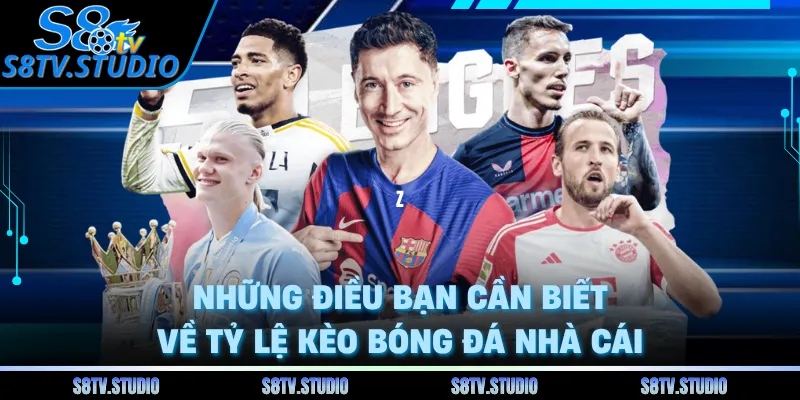 Những điều bạn cần biết về tỷ lệ kèo bóng đá nhà cái